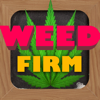 Weed Firm: RePlanted - Ludum LLC