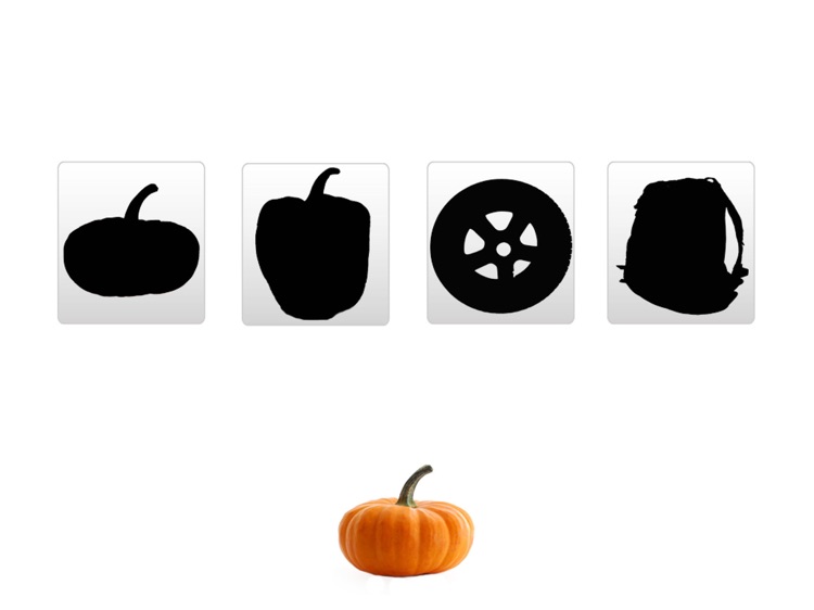 AutismiHelp-Same&Different SLP screenshot-4