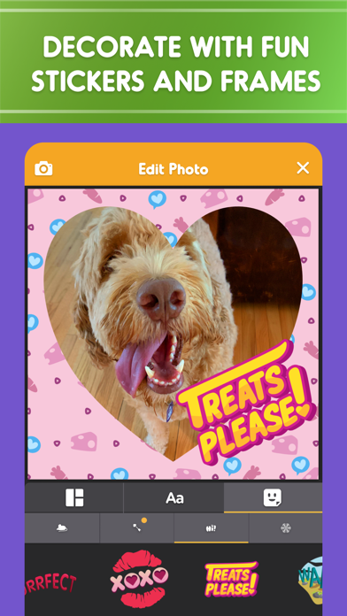 Pet Parade: Cutest Dogs & Cats free Gold and Silver hack