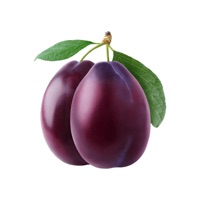 Fun Fruits Pack
