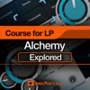 Explore Guide for Alchemy