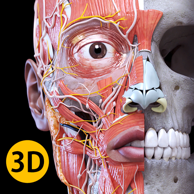 解剖学 3dアトラス をmac App Storeで