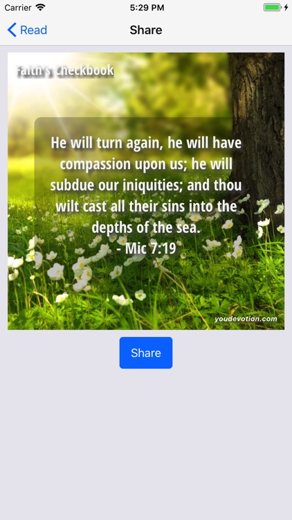 Daily Faith's Checkbook - Lite