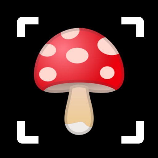 Mushroom identifier - photo ID