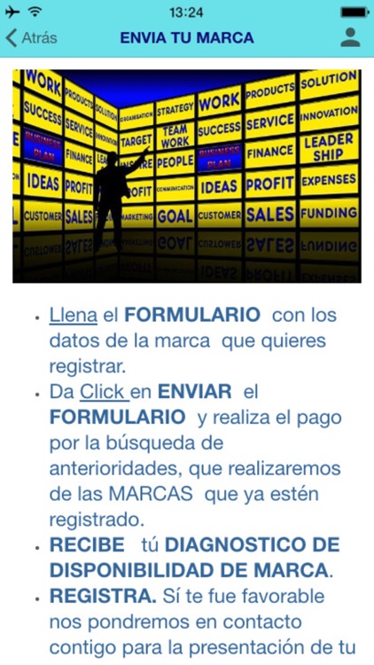 MARKFLiX REGISTRA TU MARCA screenshot-4