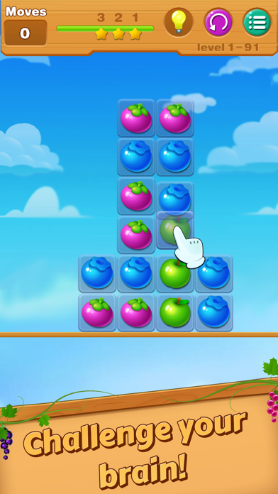 Move the Fruit: Brain Puzzle screenshot 2