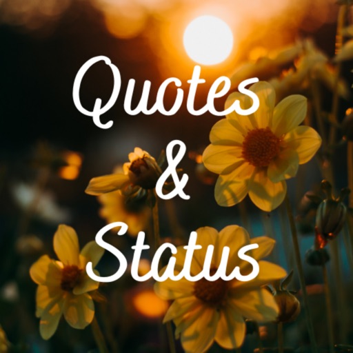 Daily Positive Quotes, Sayings