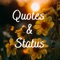 Read, share and save over 11,000+ quotes by famous people, sayings and status in over 300+ categories for free