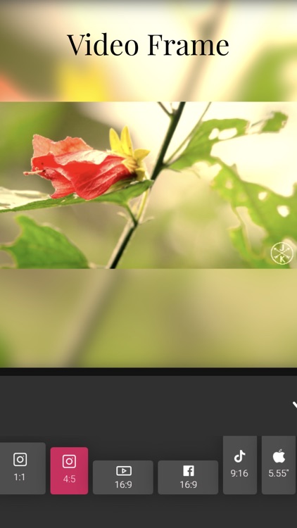 Chitro Video Editor & Maker
