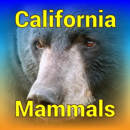 California Mammals Cheats