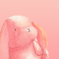 Adventures of a Hungry Bunny