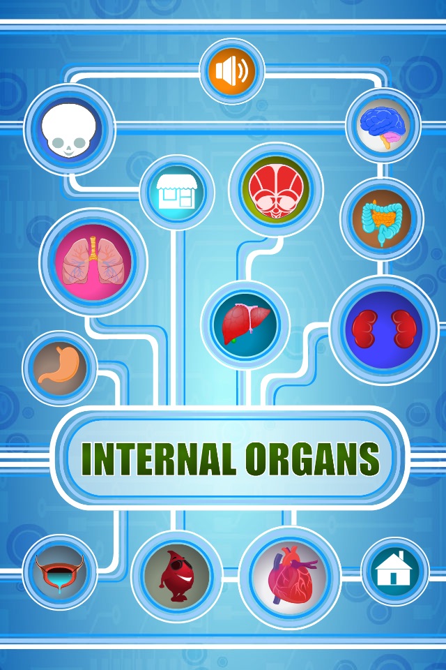 Human Body - Internal Organs screenshot 2