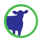 Top 30 Business Apps Like Cattle Market Mobile - Best Alternatives
