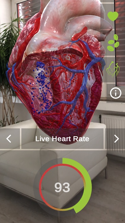 INSIGHT HEART screenshot-0