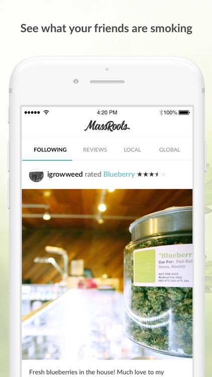 MassRoots Medical Cannabis