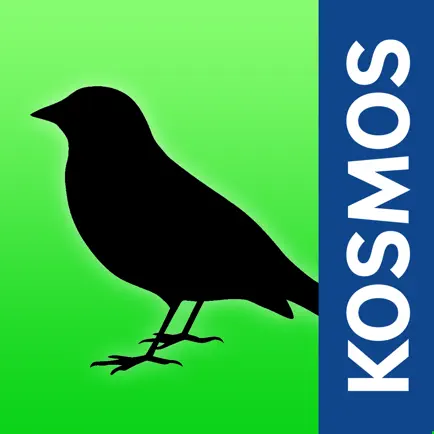 Birds of Europe Guide Читы