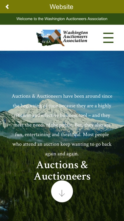 WA Auctions