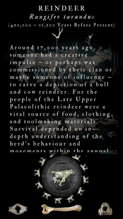 Mr. Pidcock's Ghost Menagerie screenshot-3