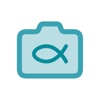 魚眼レンズ (Fisheye Lens)