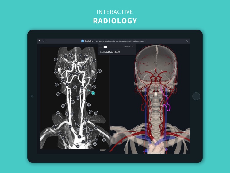 Complete anatomy 2018 3 3 – anatomy learning platform 2017