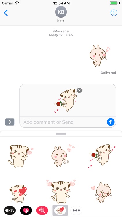 Kitty Pinky With Love Animated