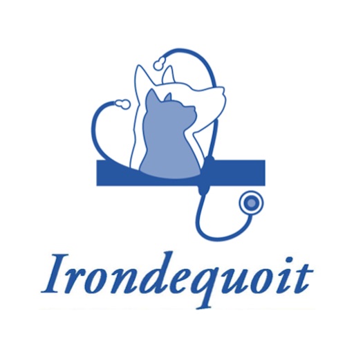 Irondequoit Vet Download