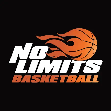 No Limits Basketball Читы