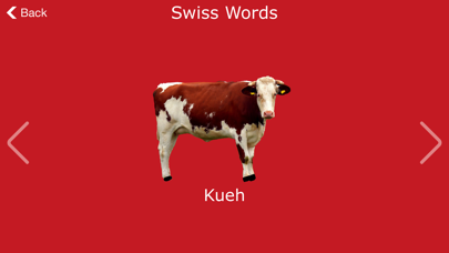 Swiss Words screenshot 4
