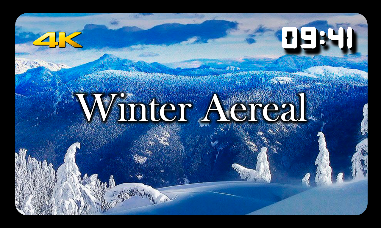 Winter Aereal