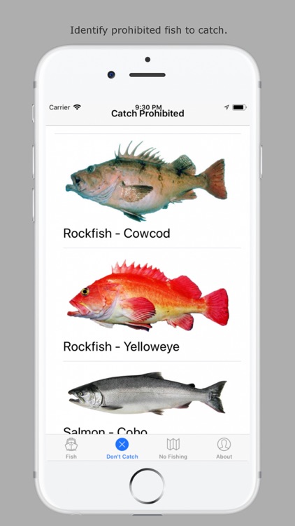 A California Fishing App