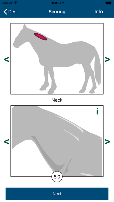 Equine Body Condition Scoring screenshot 2