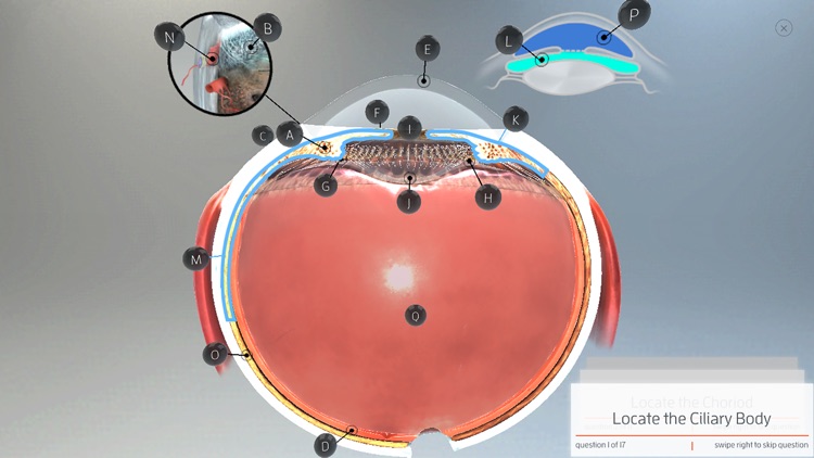 The Physiology of the Eye screenshot-4