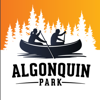 Mussio Ventures Ltd. - Algonquin Park Adventure Map アートワーク