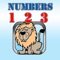 Numbers 123 is a fun, convenient way to introduce and reinforce the basic concepts with your preschooler
