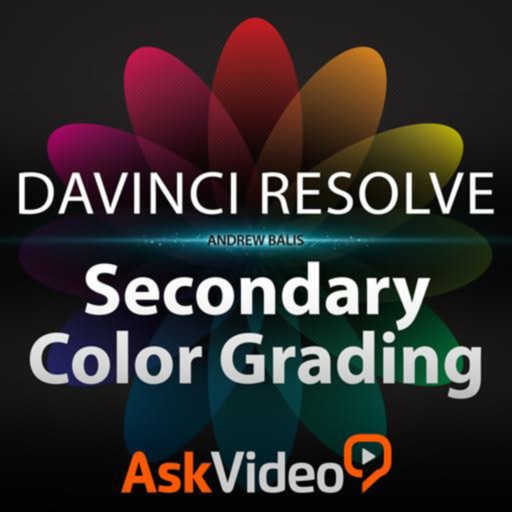 Secondary Color Grading icon