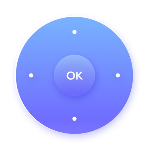 Universal TV Remote Controller