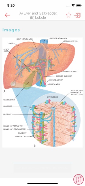 Taber's 23 Medical Dictionary(圖4)-速報App