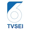 TVSEI