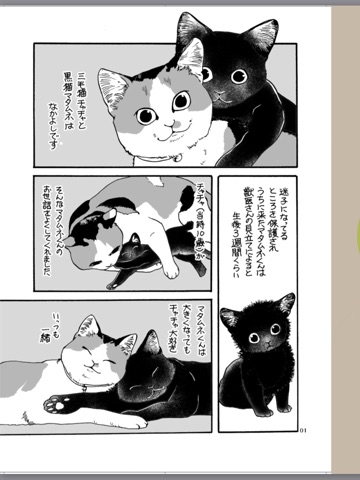 スクリーンショット 1