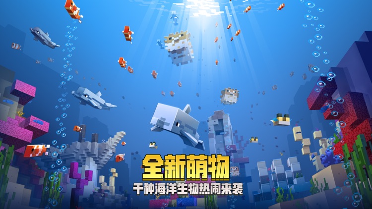 我的世界