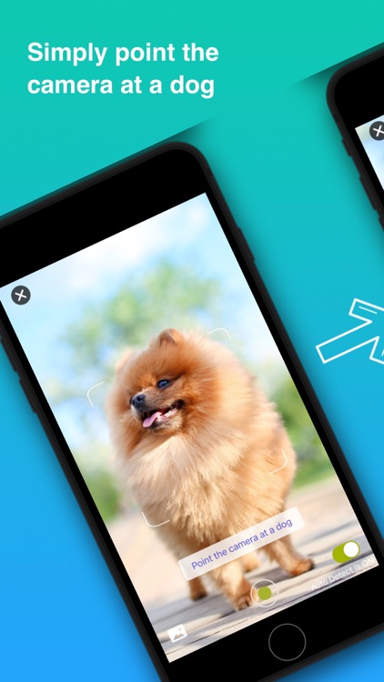 Dog Identifier - Puppy Scanner screenshot-7