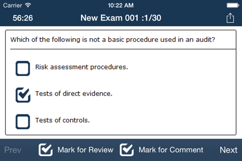 CPA Audit Exam Online Lite - náhled