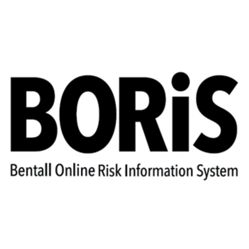 Boris QA Mobile