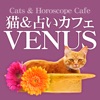 猫＆占いカフェVENUS（ビーナス） 公式アプリ