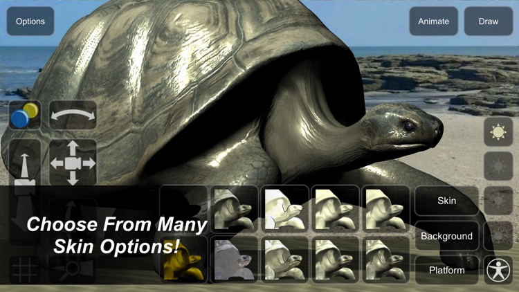 Tortoise Mannequin screenshot-4