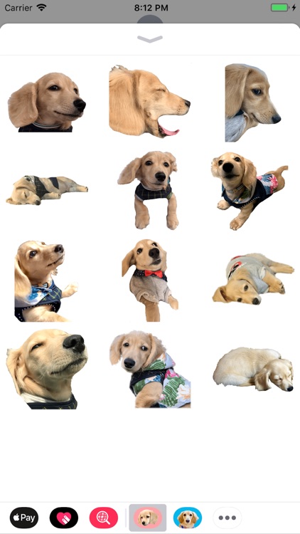 Cleo Daily Sticker Puppy Era