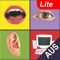 Speech therapy treatment software for articulation difficulty caused by apraxia of speech or other speech difficulties