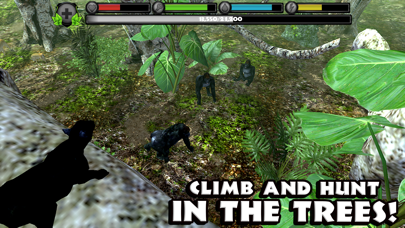 Panther Simulator screenshot 3