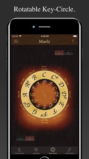 Beautiful Metronome(圖3)-速報App