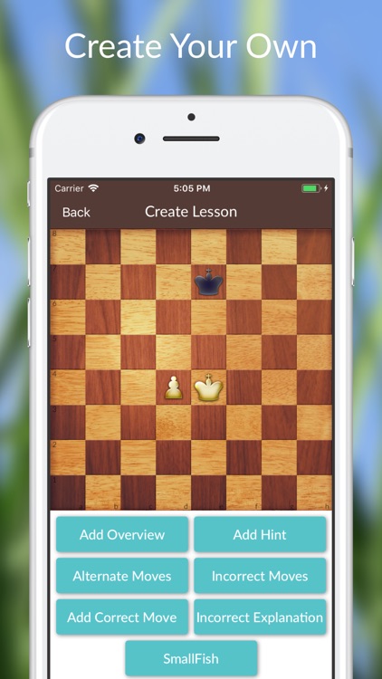 Chess Tactics and Lessons screenshot-3
